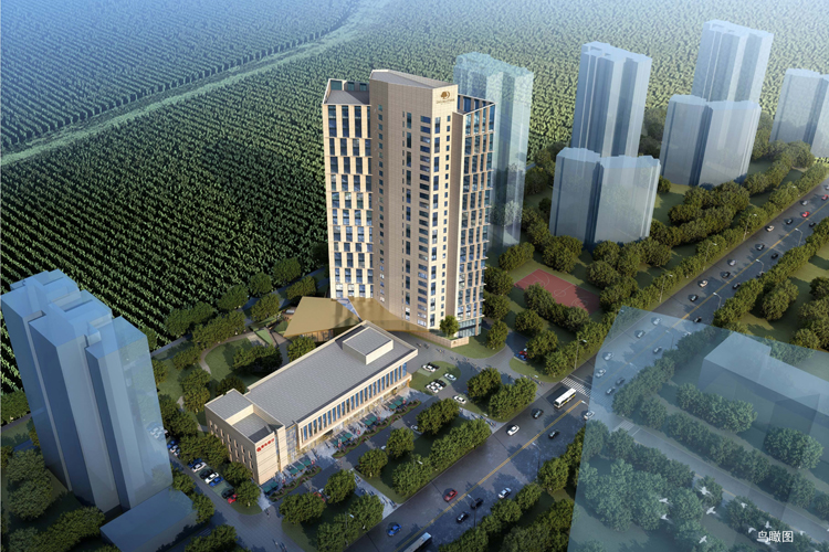 不负春景起好步，希尔顿逸林酒店公寓项目银行主体封顶大吉